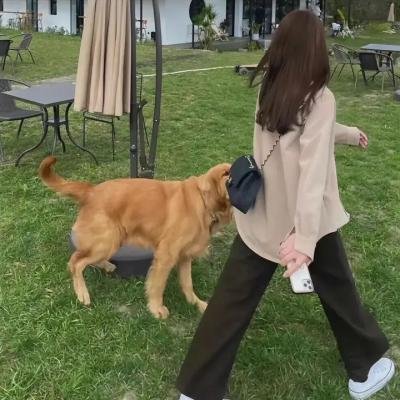 穷追不舍